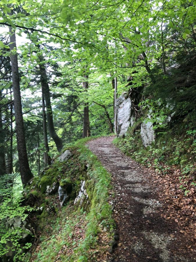 Ciao-Aschau Haus Zur Burg Ap112 Burgblick Leilighet Aschau im Chiemgau Eksteriør bilde