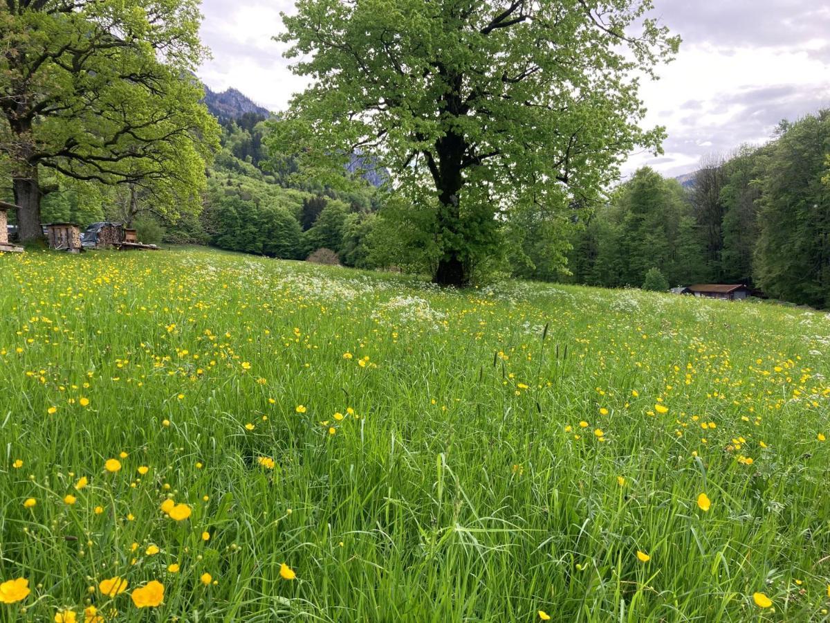 Ciao-Aschau Haus Zur Burg Ap112 Burgblick Leilighet Aschau im Chiemgau Eksteriør bilde