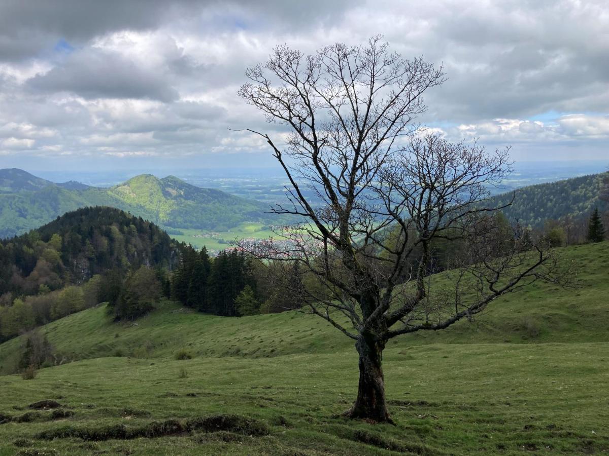 Ciao-Aschau Haus Zur Burg Ap112 Burgblick Leilighet Aschau im Chiemgau Eksteriør bilde