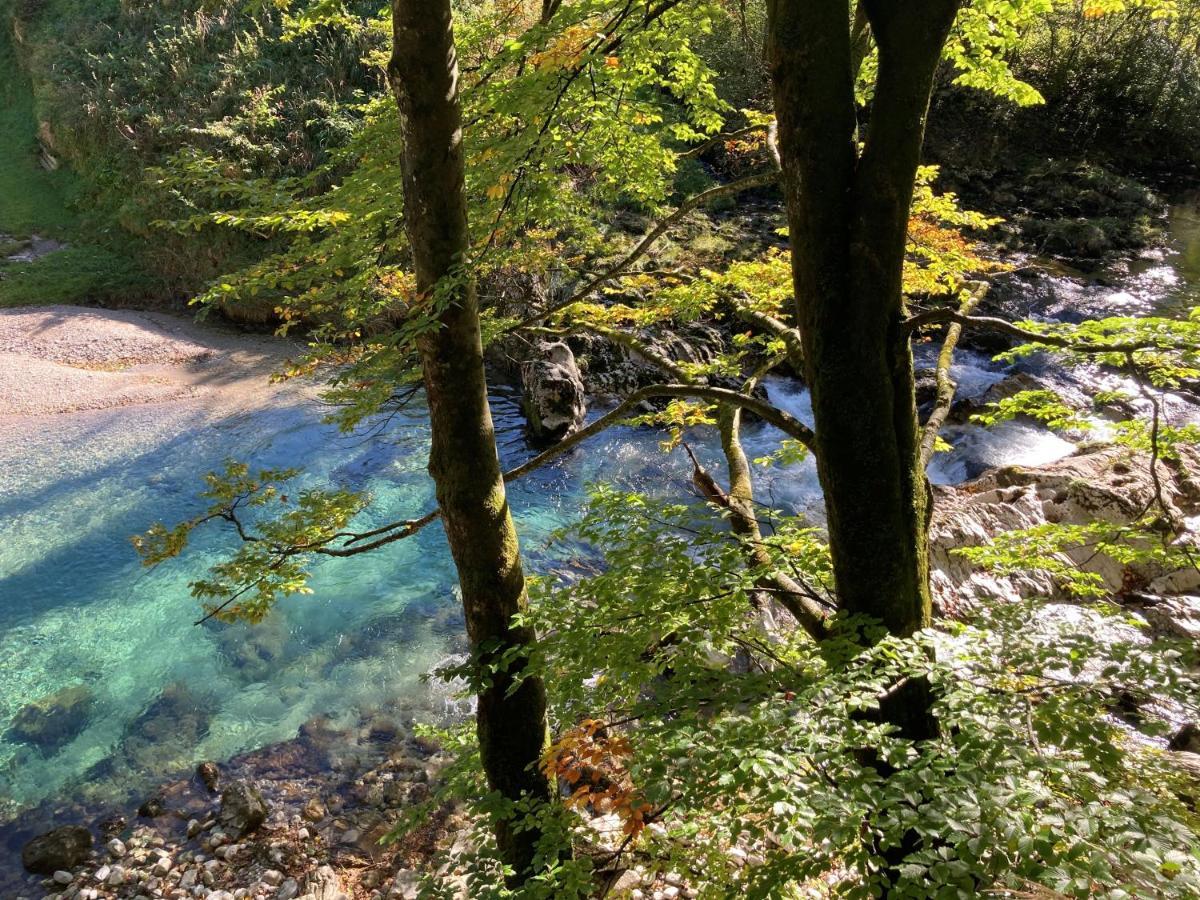 Ciao-Aschau Haus Zur Burg Ap112 Burgblick Leilighet Aschau im Chiemgau Eksteriør bilde